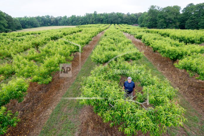 Climate Warmer Winter Crops